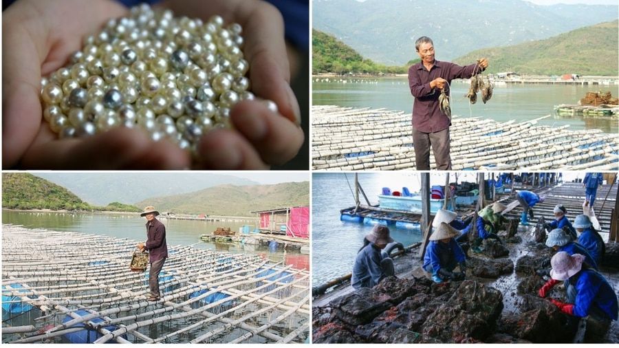 Find Out About The Pearl Cultivation Process e90c7f05