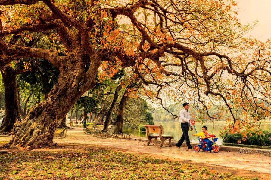 Siem Reap to Hanoi