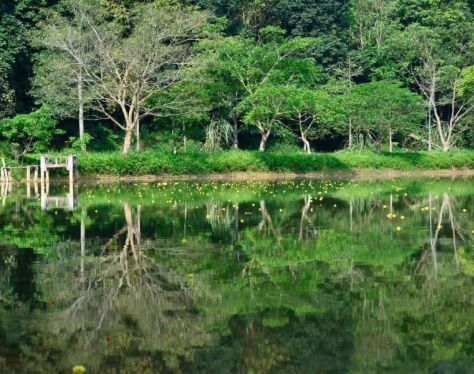 Ninh Binh Cuc Phuong National Park 2 ee0a449b
