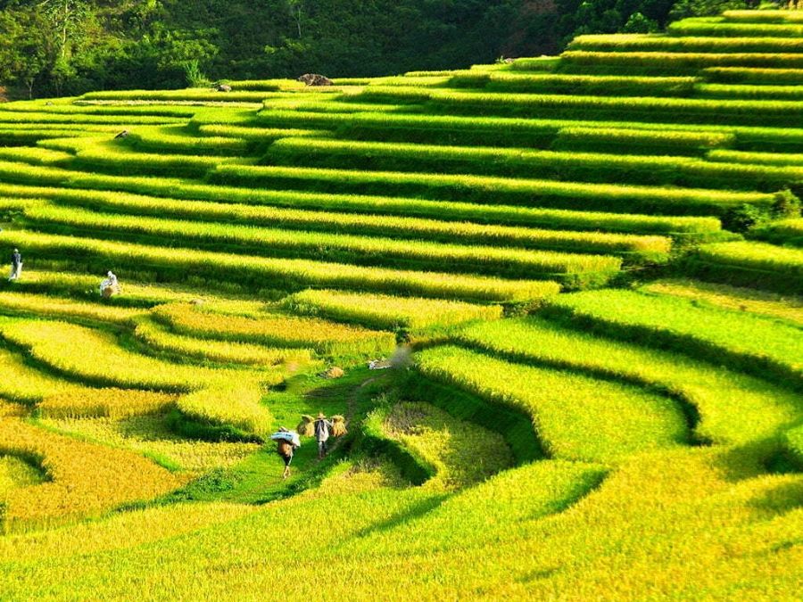 Pu Luong Kho Muong Village 1 eead871d