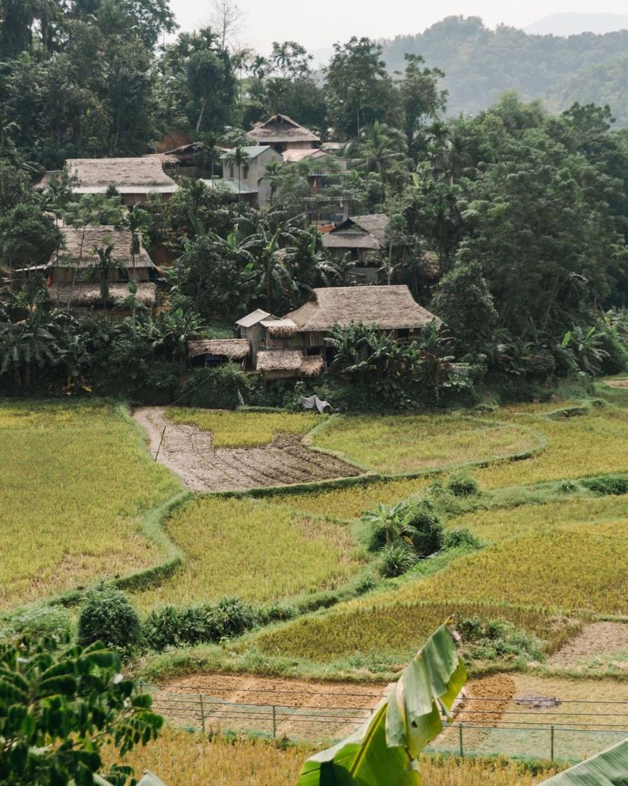 Pu Luong Son Ba Muoi Village 2 efe9c415