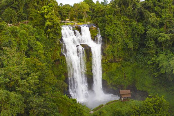 Bolaven Plateau in Champasak e1753840854803 f2b649ad