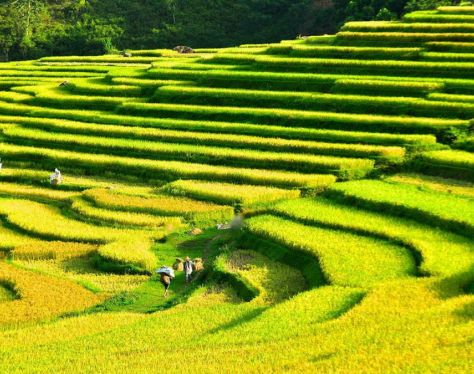 Pu Luong Kho Muong Village 1 f2fcfbcf
