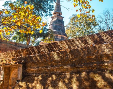 chiang rai wat umong 1 f3353b54