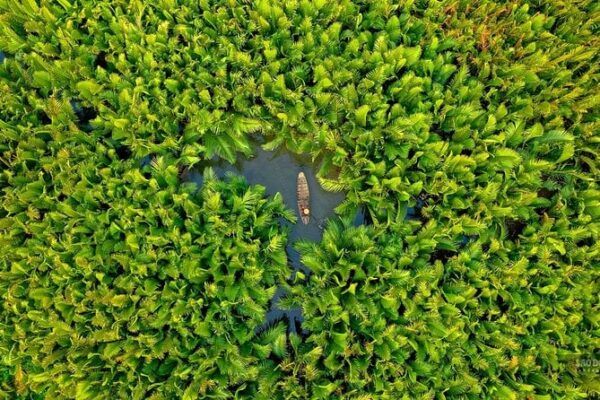 Shrimp Farms in Hoi An e1753843682347 f8a500d1