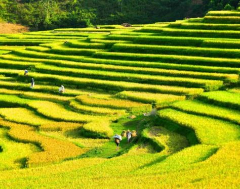 Pu Luong Don Village 1 f971c91d