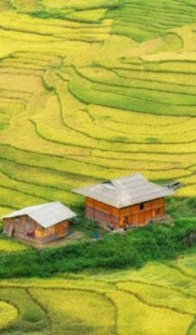 Sapa TerracedField 4 e1753842446376 ff58e44e