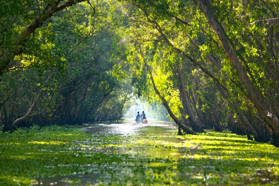 Mekong Delta