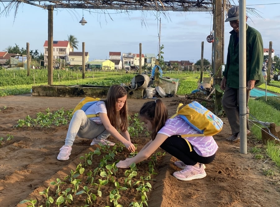 Enjoy Farming Life At Tra Que Vegetable Village