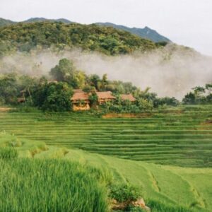 Vietnam Culture Adventure: Discover the Unexpected