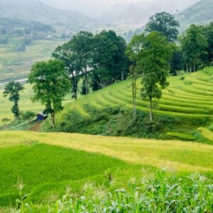 From Hanoi: Muong Hoa Valley – Cycling Tour – Private