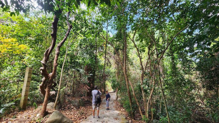Con Dao National Park