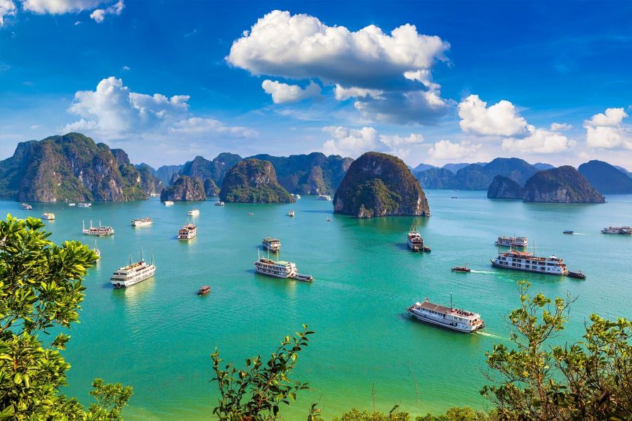 Cruise Through Ha Long Bay