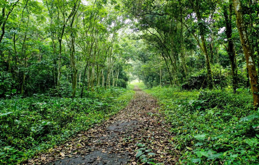 Cuc Phuong National Park