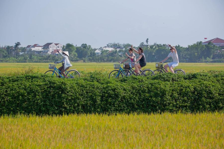 Cycle in Hoi An