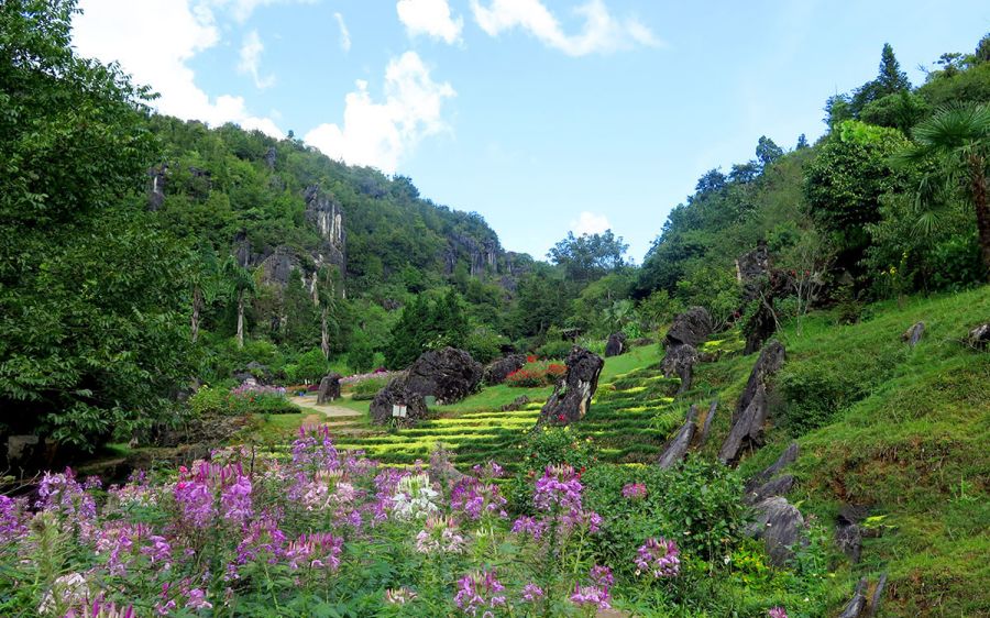 Ham Rong Mountain