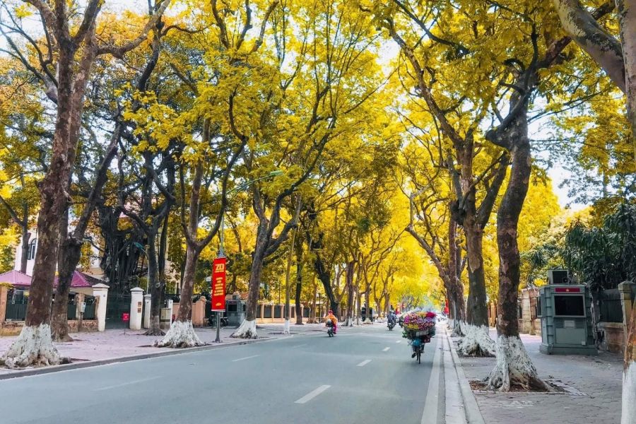 Phan Dinh Phung Street in Autumn