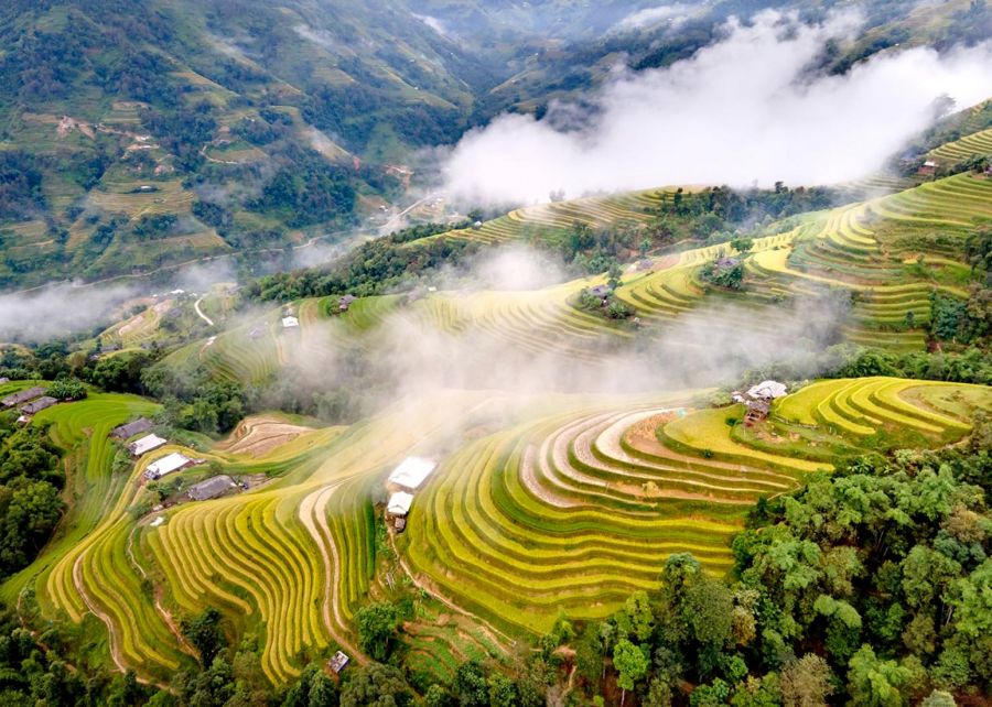 Sapa in Autumn