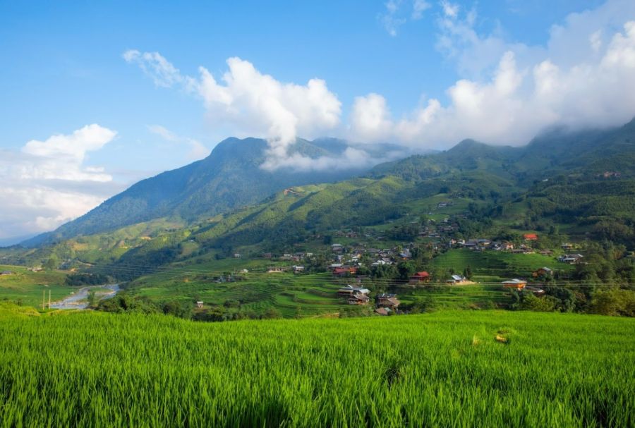Sapa in March