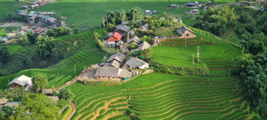 Sapa in Summer