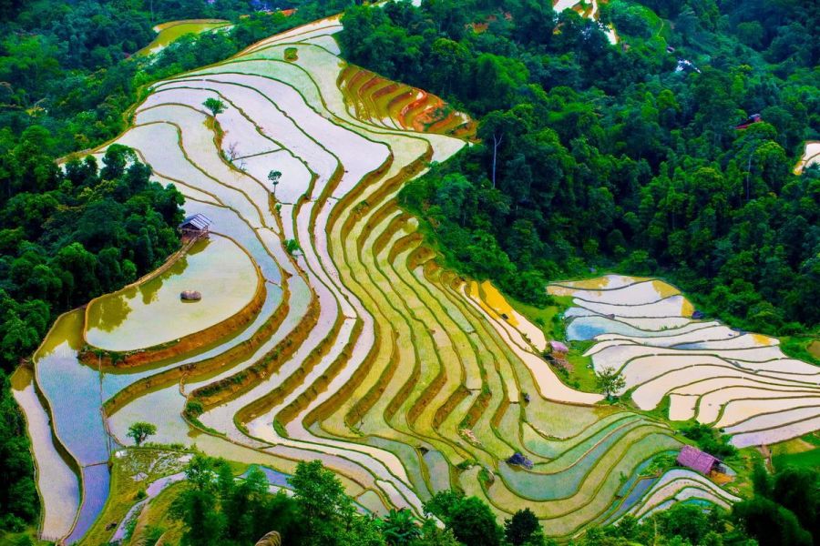 Sapa in Watering Season