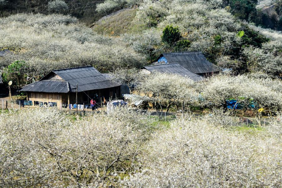 Sapa in Winter