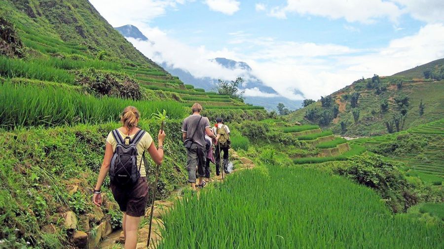 Sapa trekking