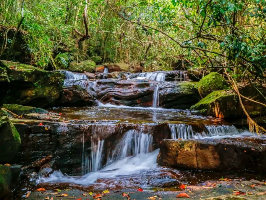 Suoi Tranh Waterfall, Phu Quoc National Park