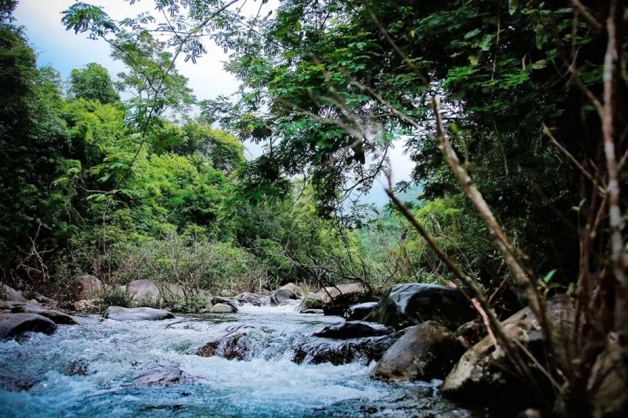 Tam Dao National Park