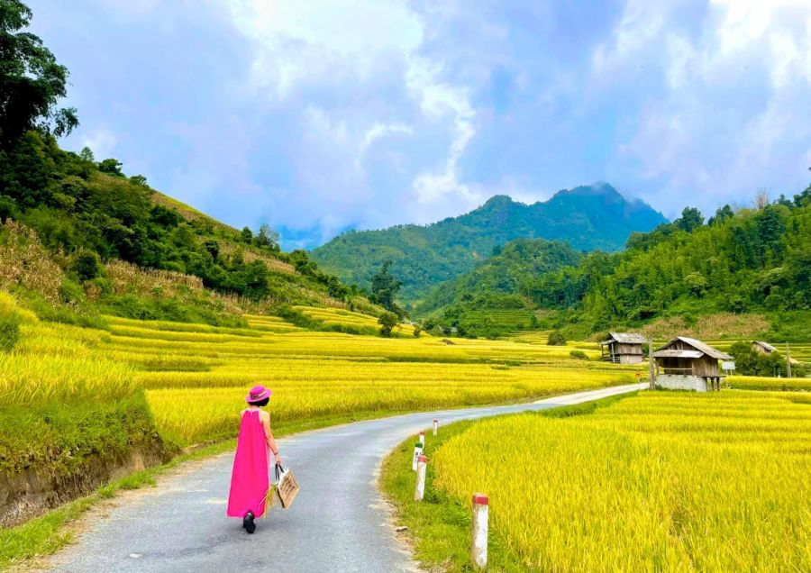Visit villages in Sapa in harvest season
