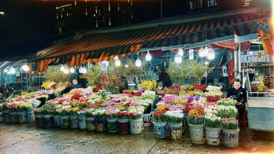Admire Quang Ba Flower Market