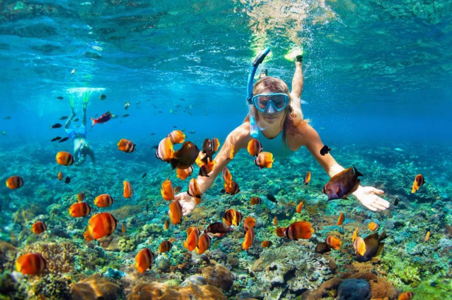 Snorkel In The Clear Waters Of Lan Ha Bay