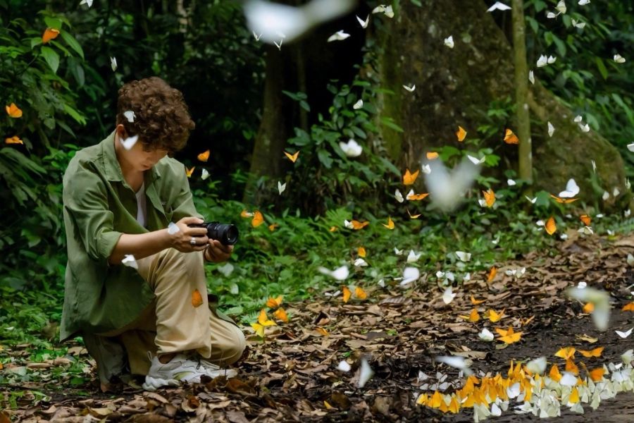 From late April to early May, Cuc Phuong national park is full of butterflies
