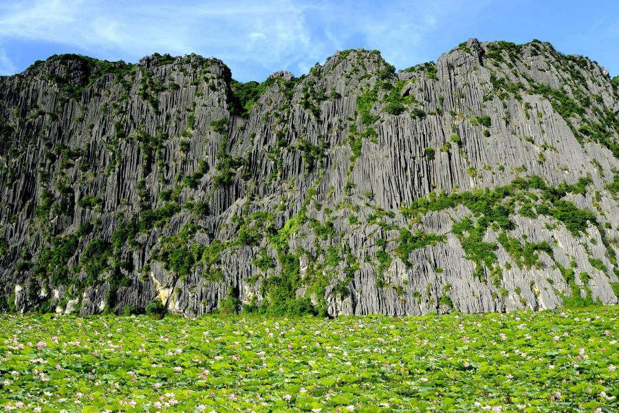 Exploring Meo Cao Mountain In Van Long