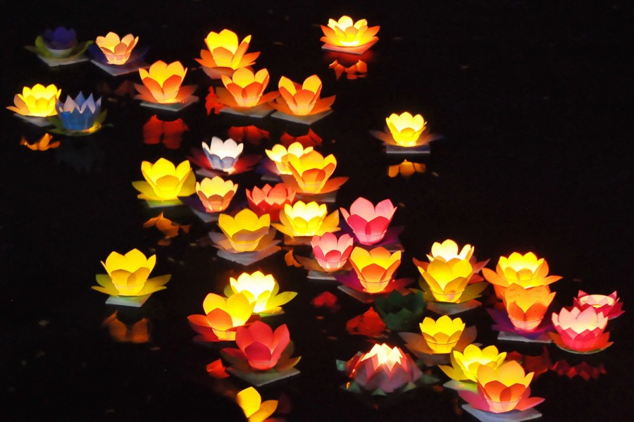 lantern in the hoai river in Hoi an