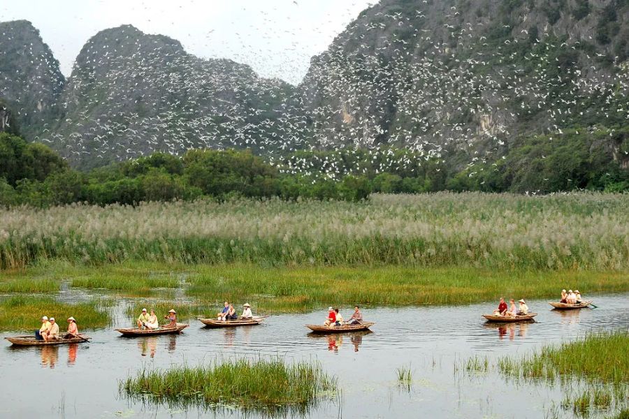 Go For A Boat Ride In The “Bay Without Waves”