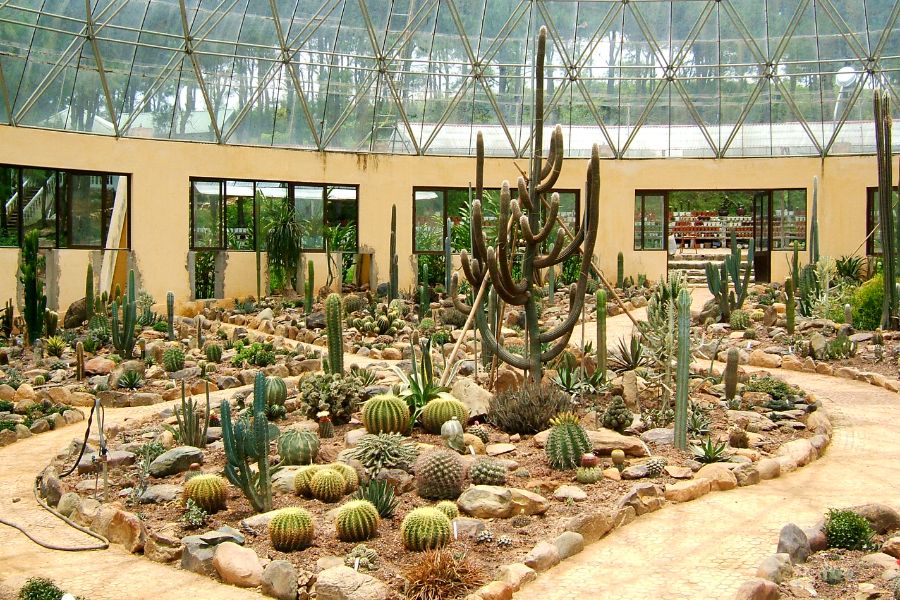 Cactus Garden in Ba Vi