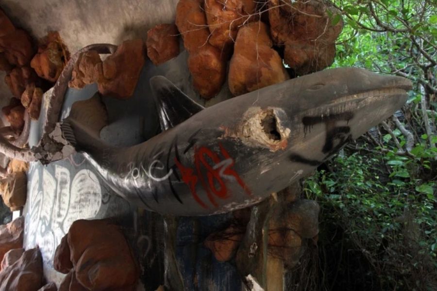 Explore The Abandoned Fish Tanks