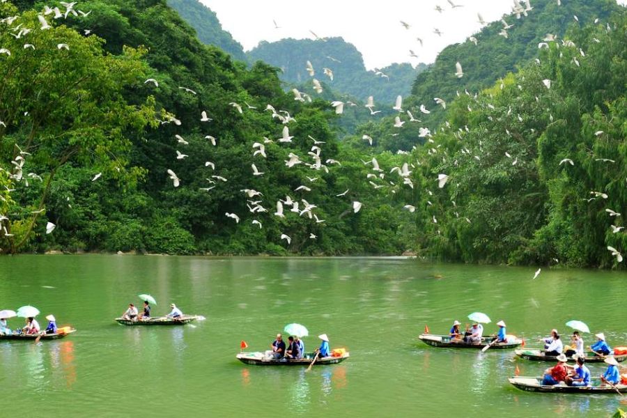Explore Thung Nham Bird Garden in ninh binh