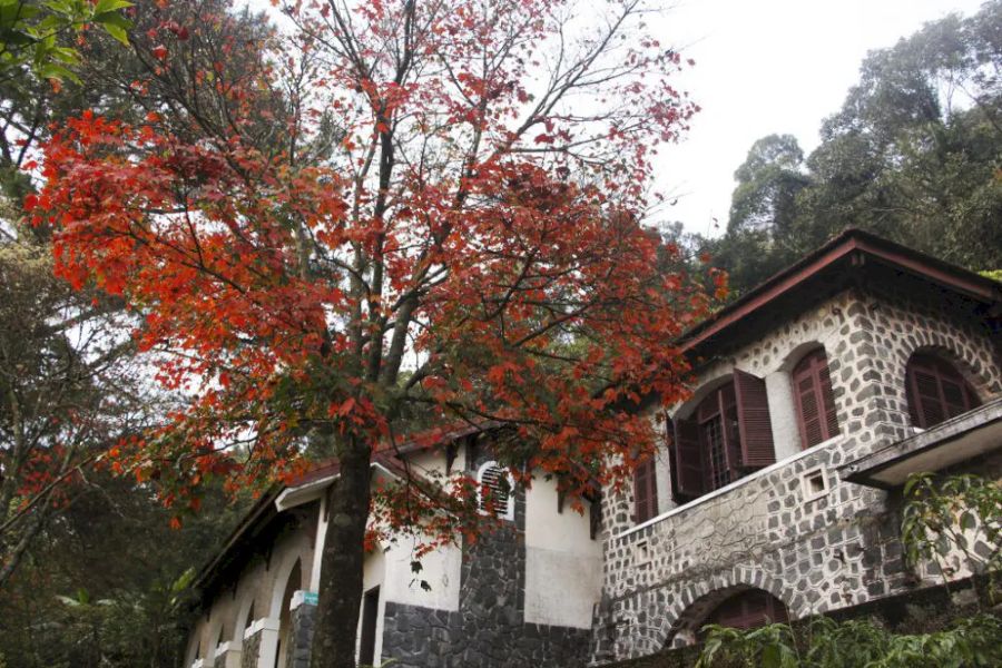 French Colonial Villas on Bach Ma Mountain