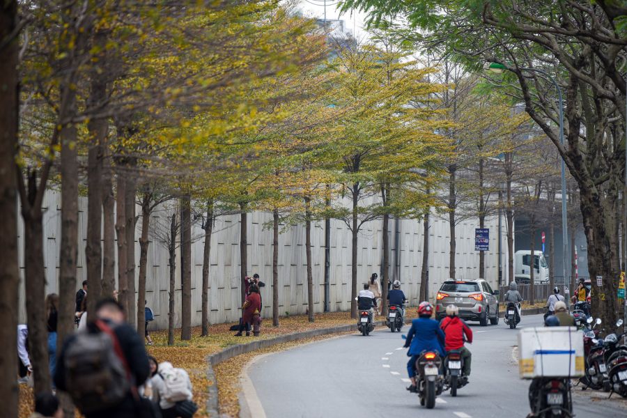 Hanoi street in december