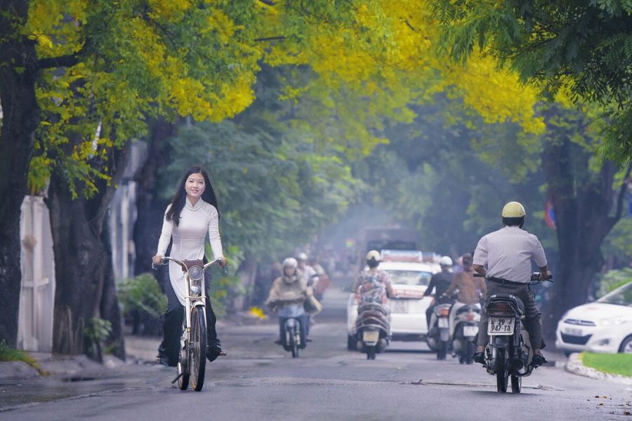 Hanoi street in the autumn