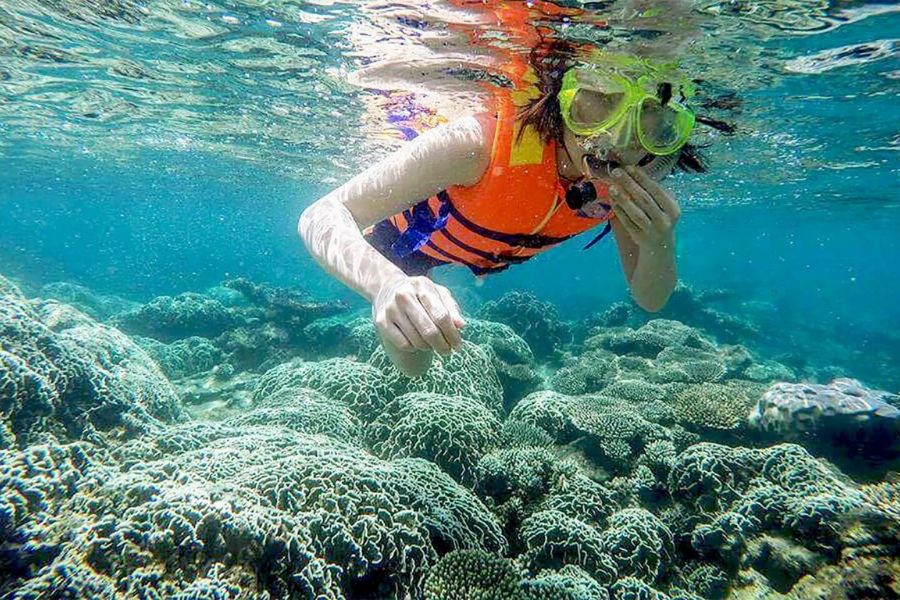 Snorkeling To Explore Marine Life in Da nang