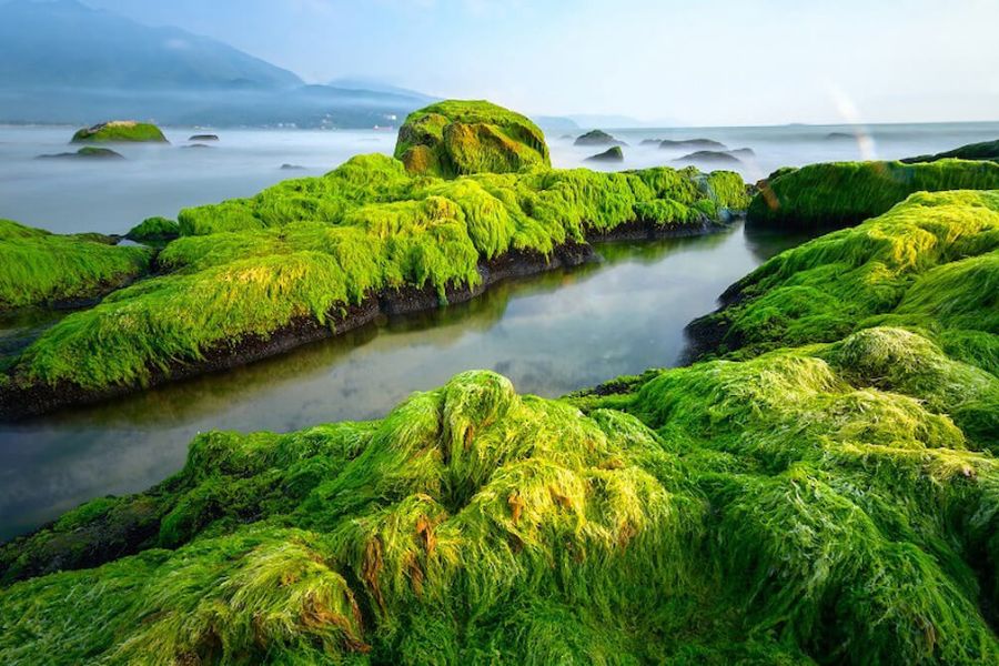 Nam O Beach, or Nam O Reef, is a beautiful beach