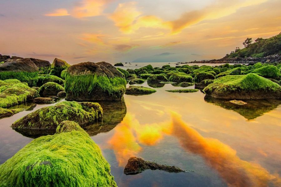 Nam O is known for its coral reefs