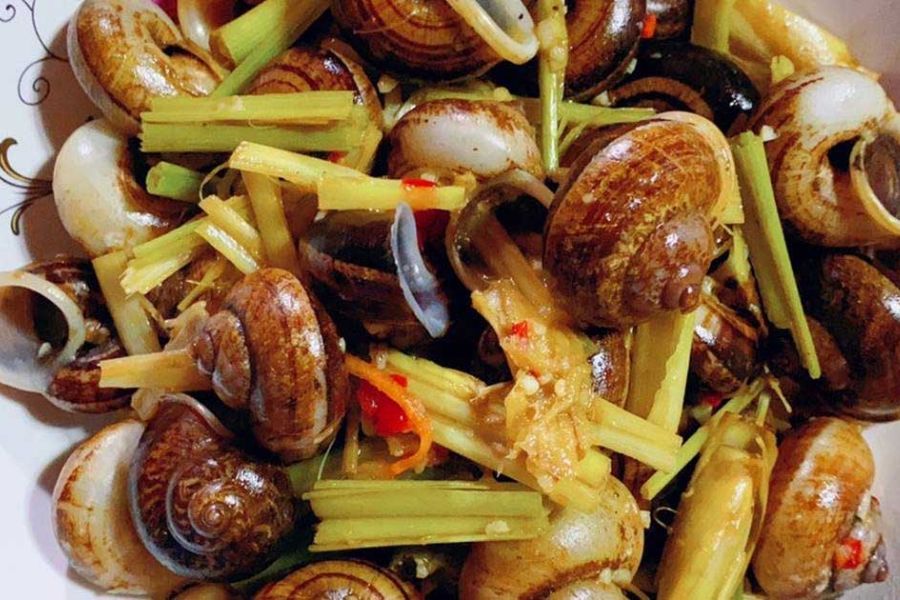 try Oc Nui (Mountain Snails) in ninh binh