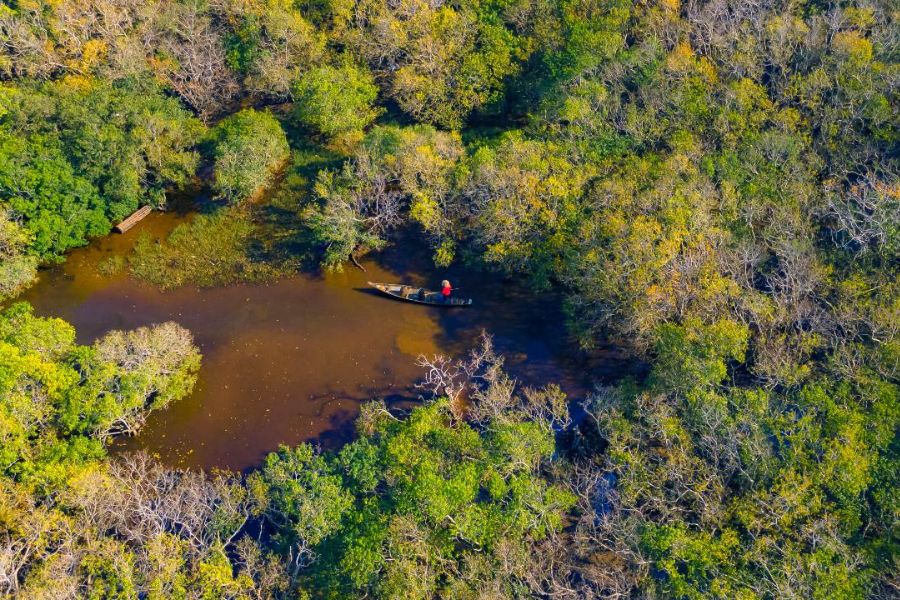 Ru Cha Mangrove Forest spans around 5 hectares