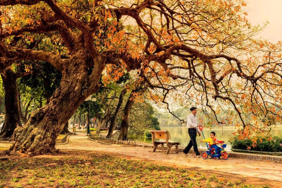 Enjoy Autumn Walks To Hoan Kiem Lake
