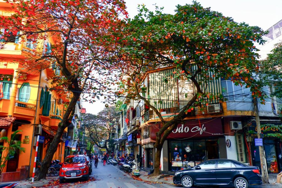 Savor Autumn Flavors Of Hanoi (9)