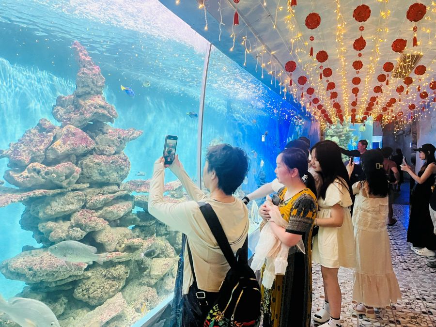 Appreciate A Miniature Ocean World